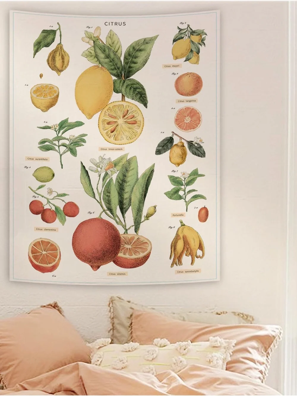 Urban outfitters fruit wall tapestry
